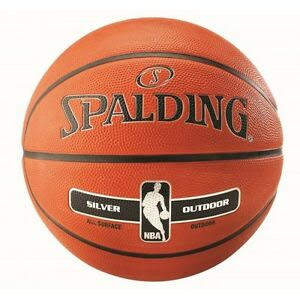 Баскетбольный мяч Spalding NBA Silver, Арт. 83016Z (Размер 7) Баскетбольный мяч Spalding NBA Silver, Арт. 83016Z (Размер 7)